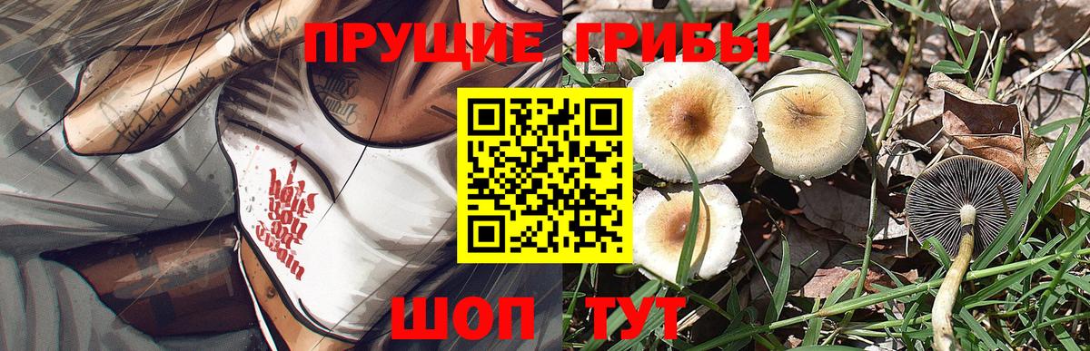 Псилоцибиновые грибы мухоморы  Псилоцибиновые грибы мухоморы  Вход с VPN  Корсаков 